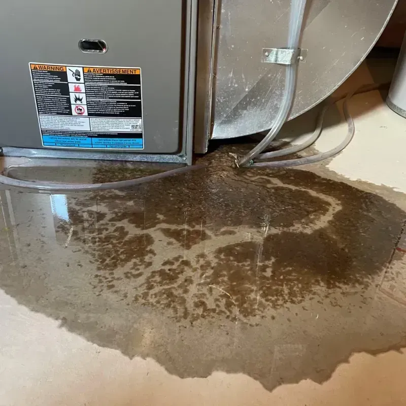 Appliance Leak Cleanup in Lincoln County, MN